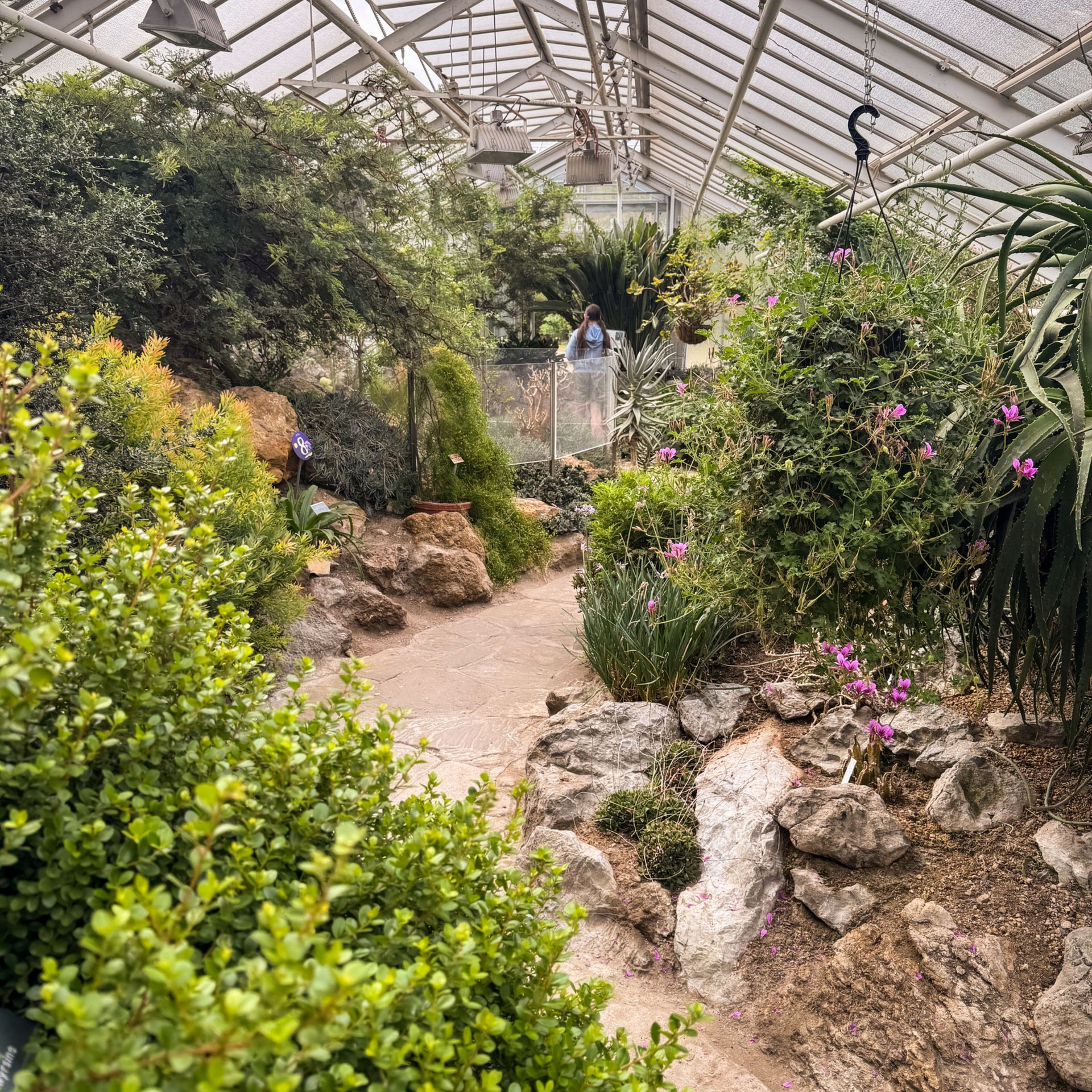 Blick in ein Gewächshaus