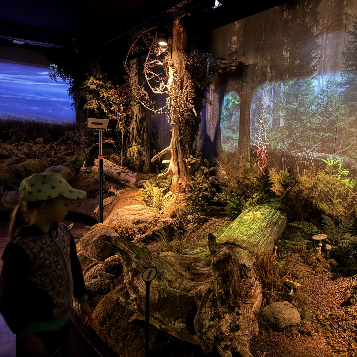 Mädchen schaut sich die interaktive Ausstellung an