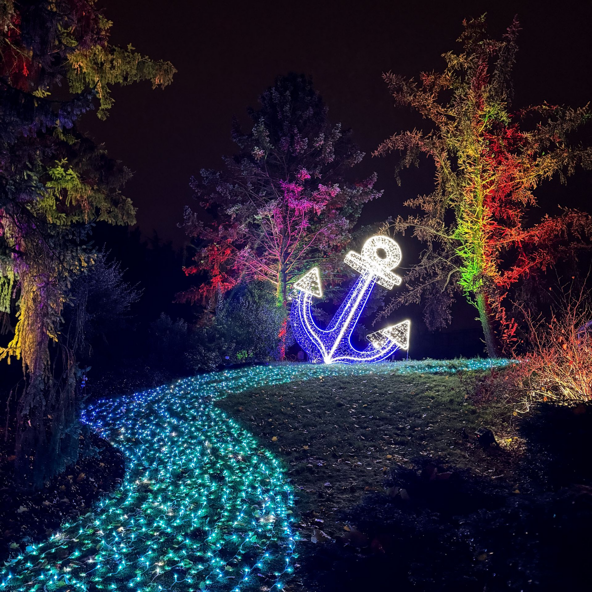 Hamburg Weihnachten Christmas Garden Blick auf einen leuchtenden Anker