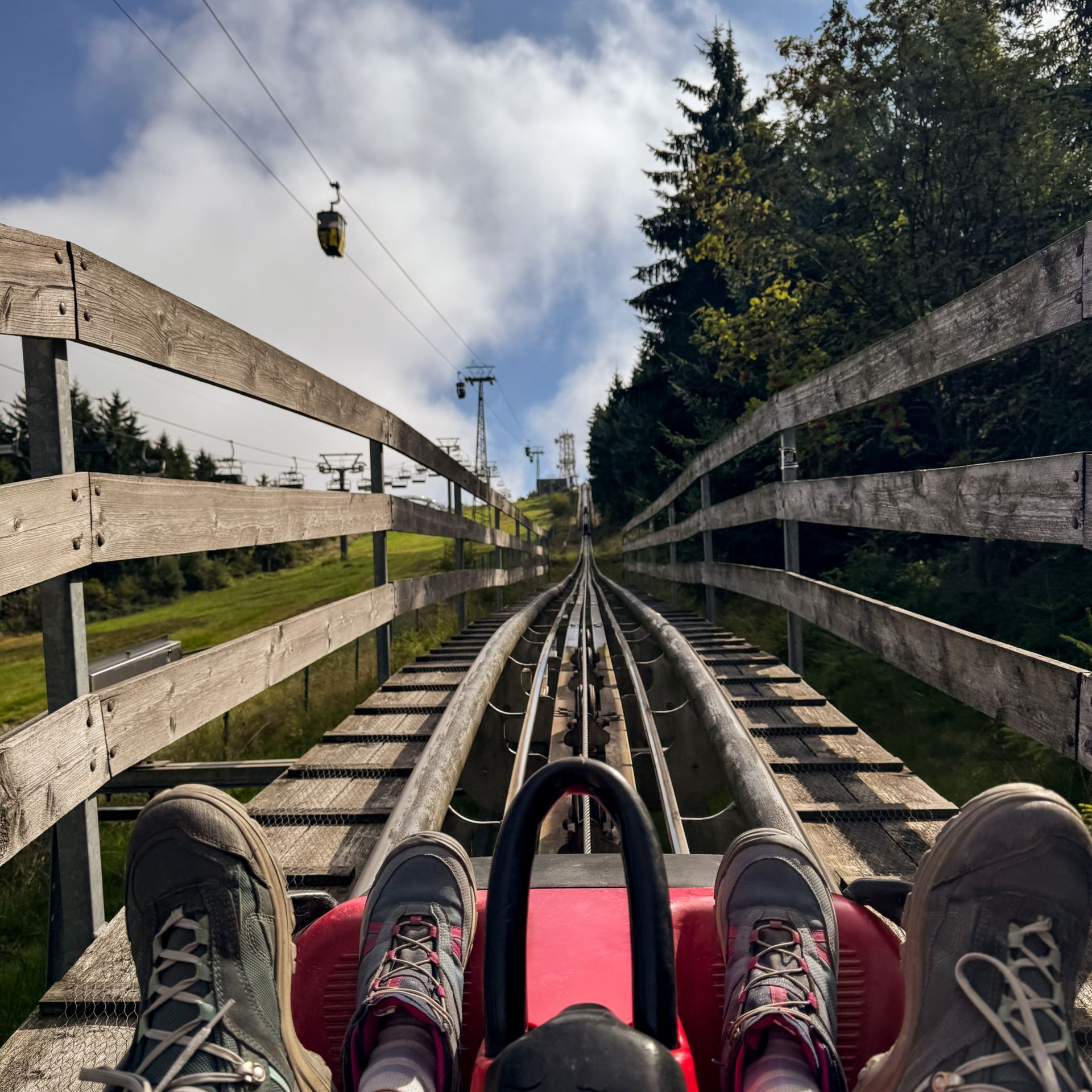 Blick auf die Rodelbahn und Seilbahn