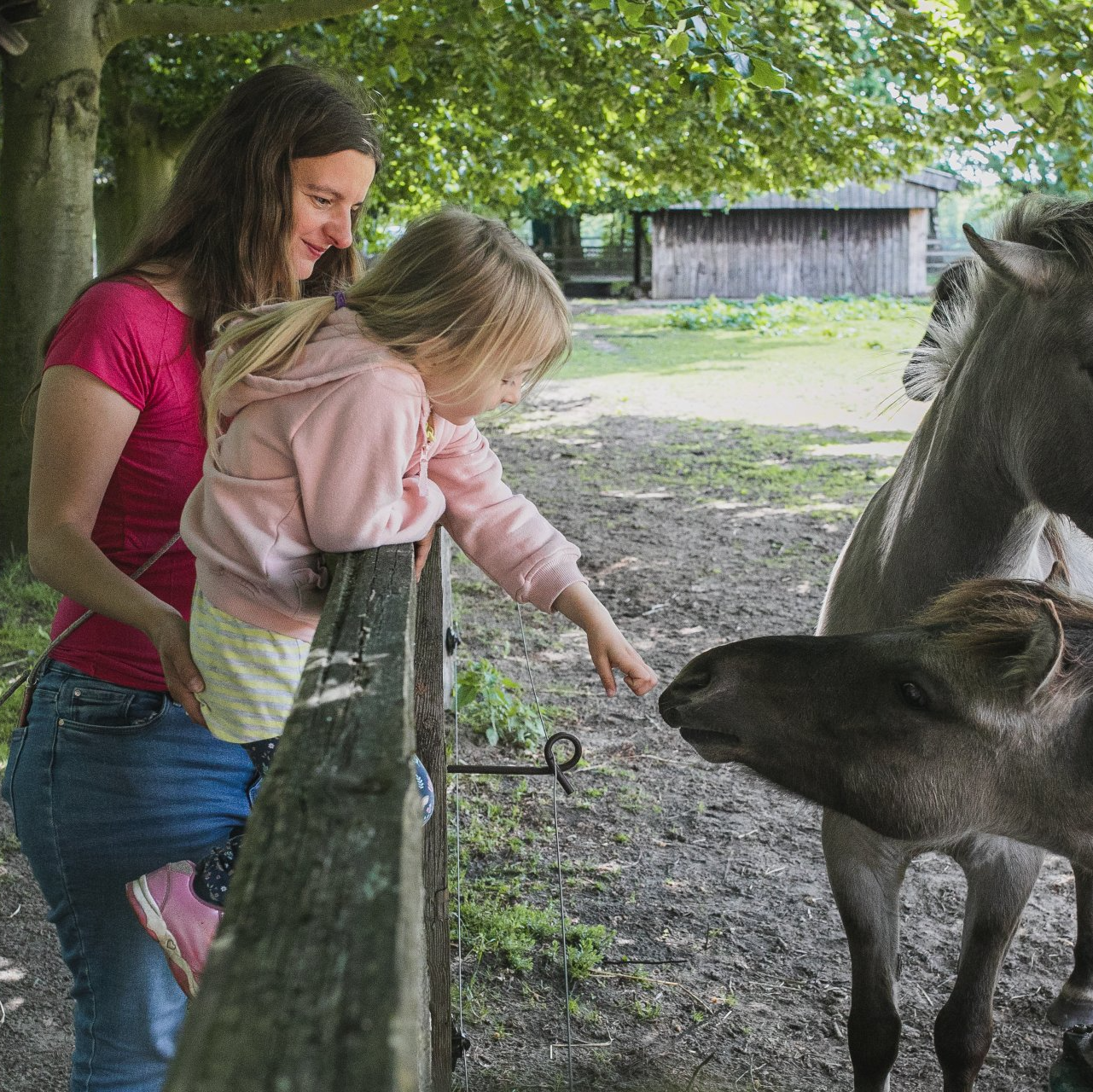 Frau mit einem Kind beim Pferde streicheln