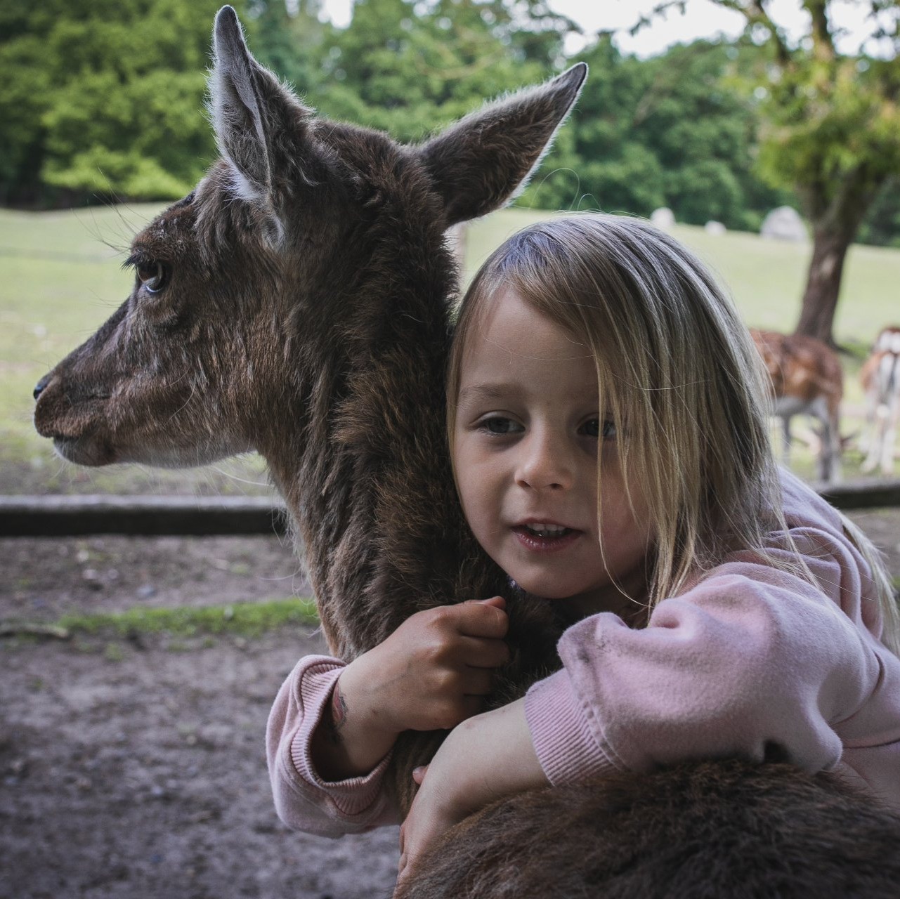 Mädchen umarmt ein Reh