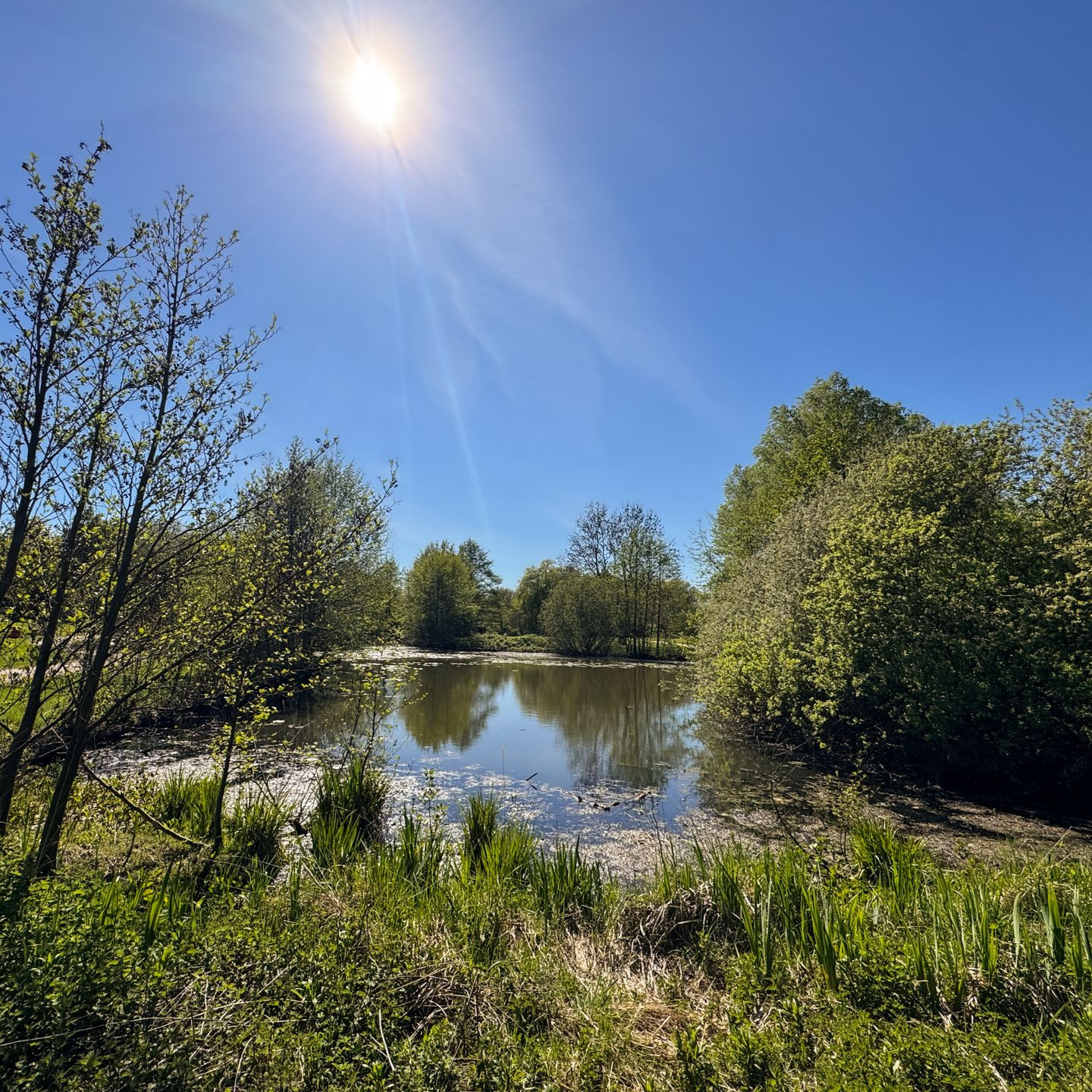 Hamburg entdecken Blick auf den Teich in der Parkanlage