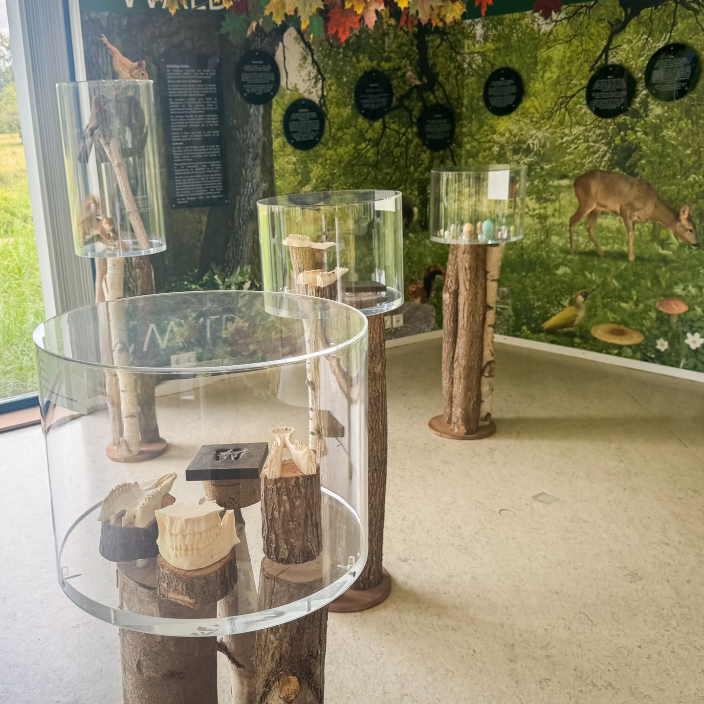 Blick in die Ausstellung im Haus der Wilden Weiden