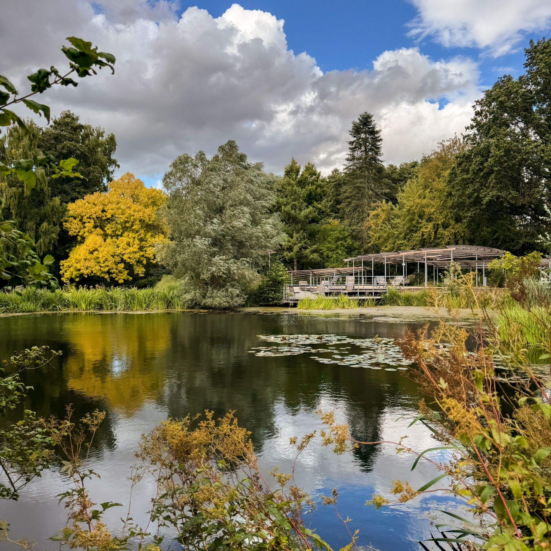 Blick auf einen Teich mit Pavillon im Kurpark