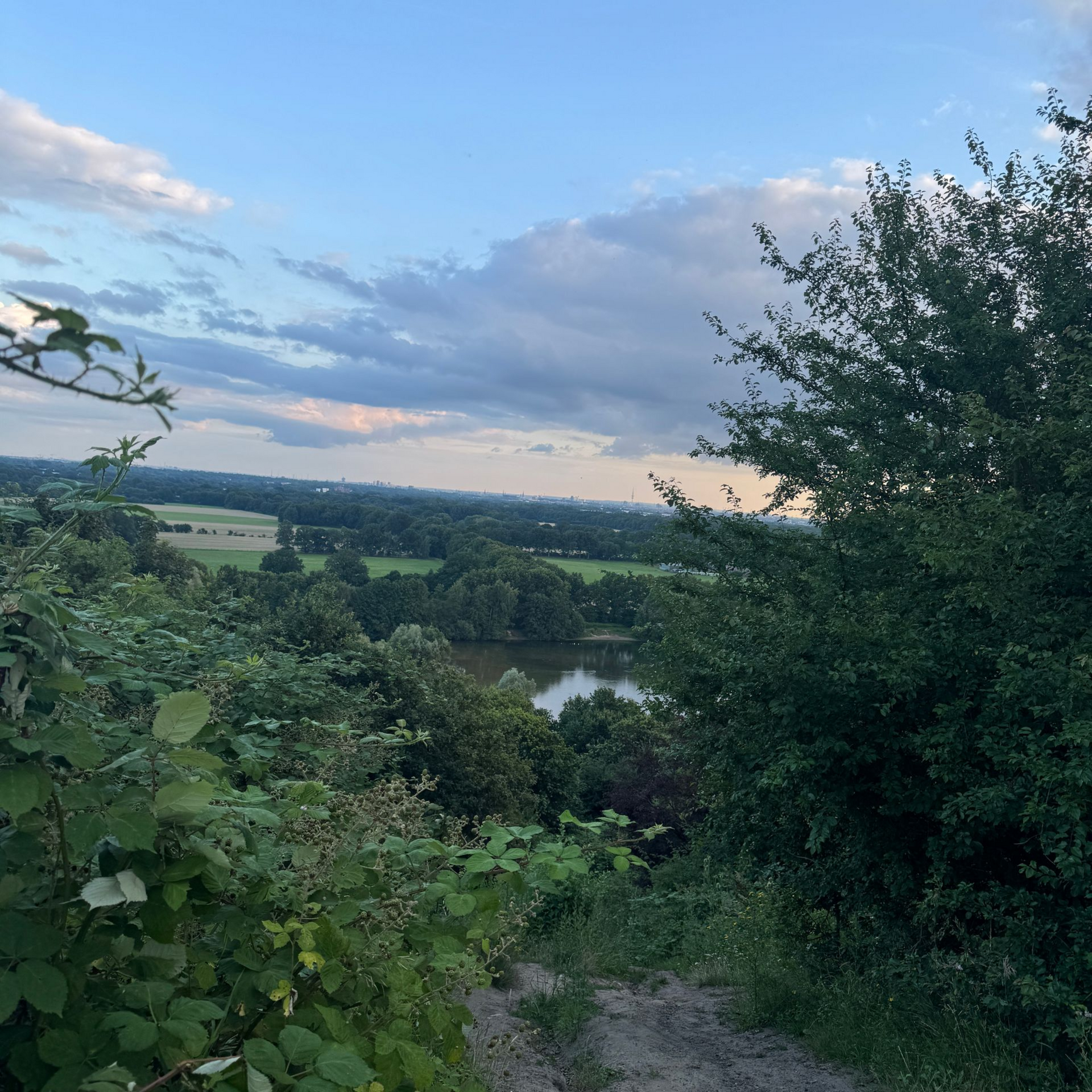 Blick vom Müllberg auf den Hummelsteich und Hamburgs Skyline