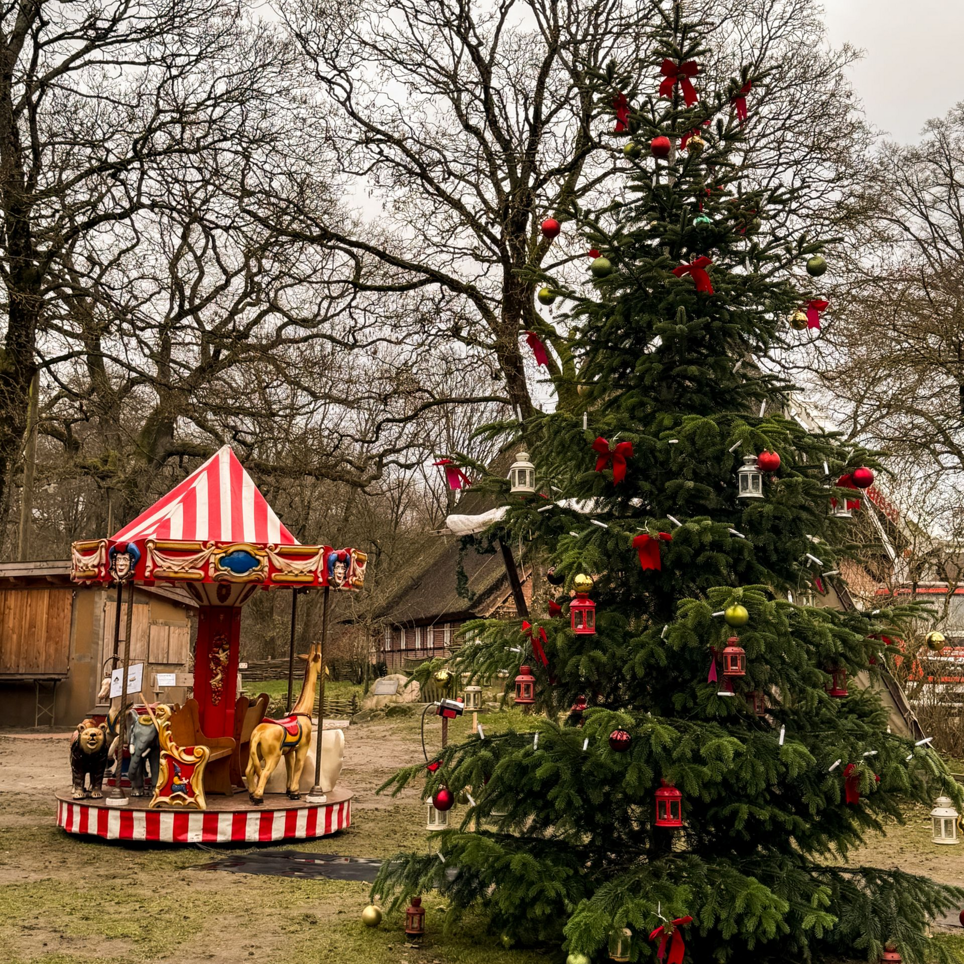 Hamburg mit Kind Museumsdorf Volksdorf Blick auf den festlich geschmückten Weihnachtsbaum und das Kinderkarussell