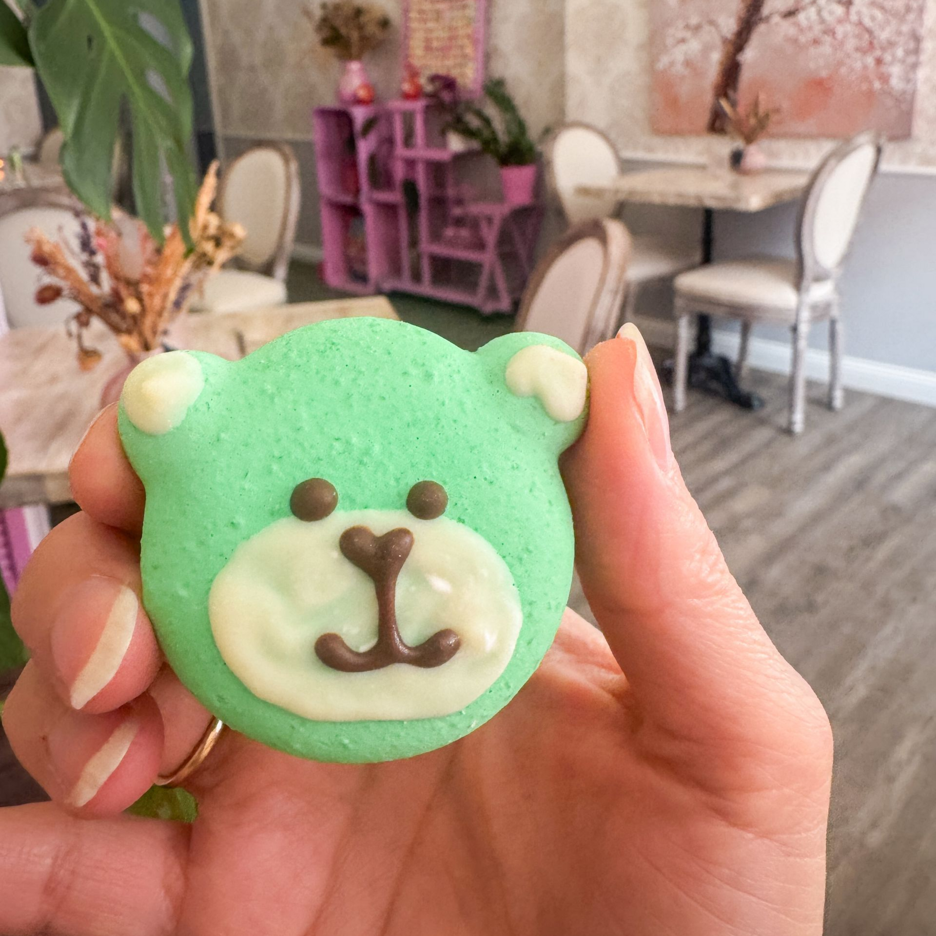 Blick auf ein Teddy Macaron