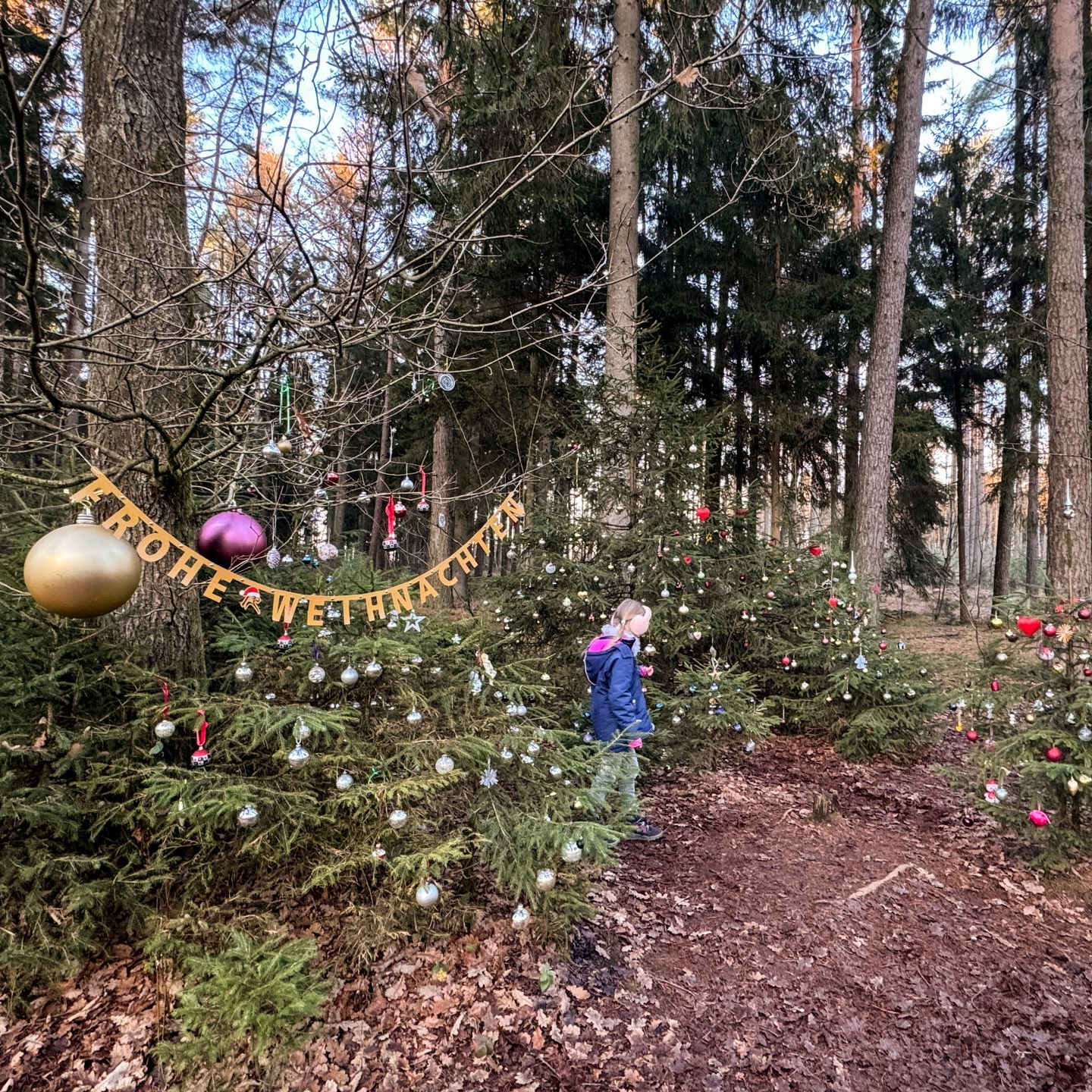 Weihnachten in Norderstedt Kind steht zwischen den geschmückten Tannen