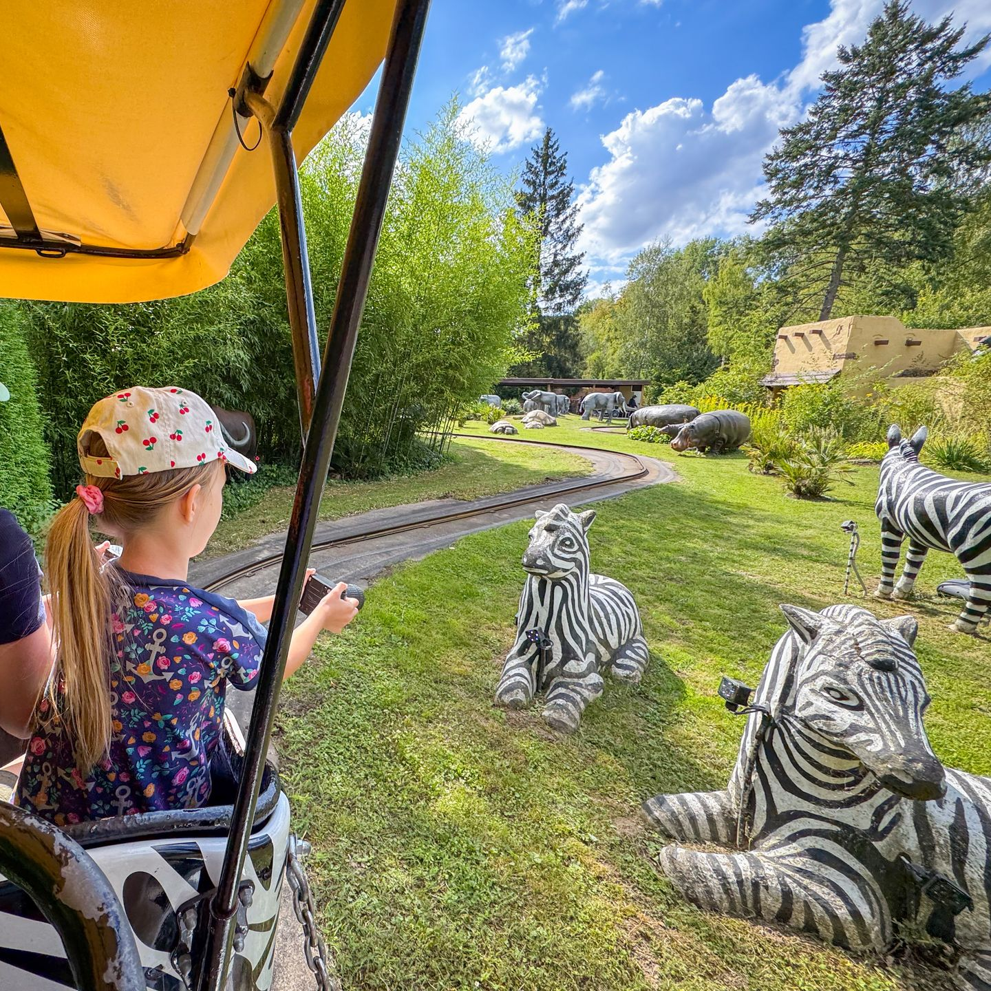 Kind sitzt in einer Foto-Safari und fotografiert Zebra Figuren