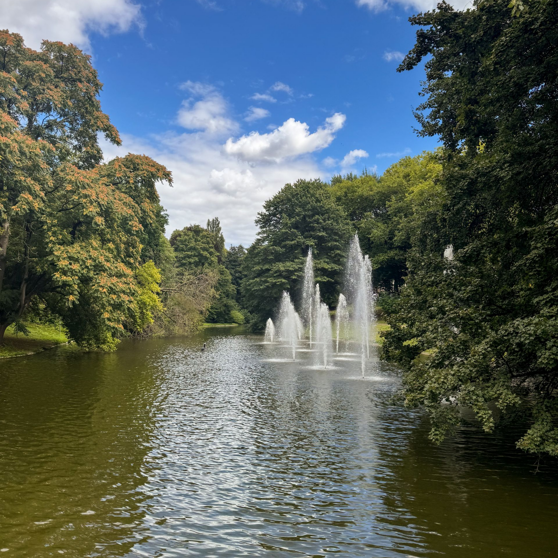 Blick auf die Fontänen am GartenRataus See