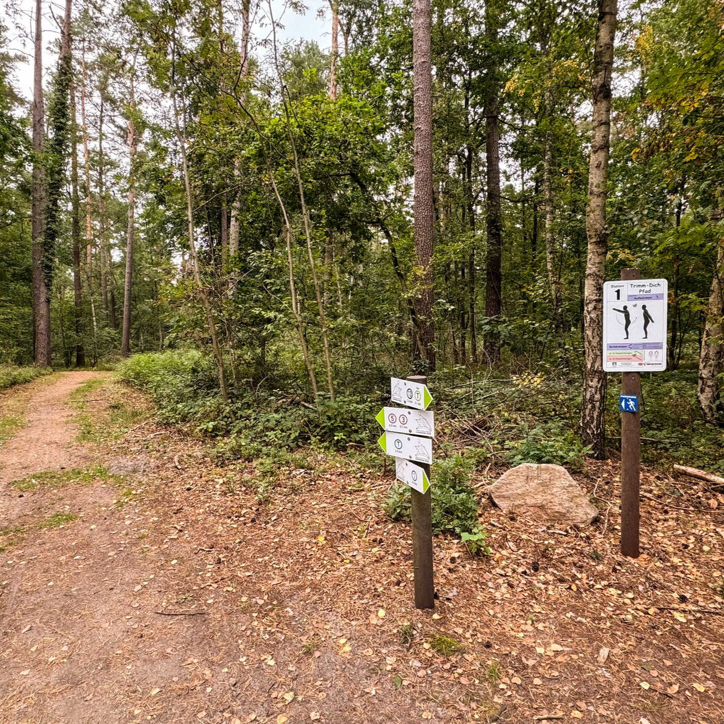 Blick auf den Trimm-Dich-Pfad