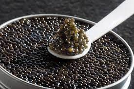 Caviar
