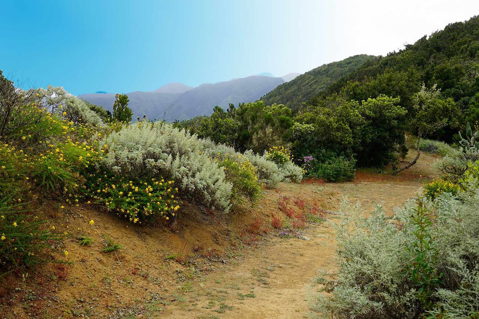 Valle Gran Rey Denkmal