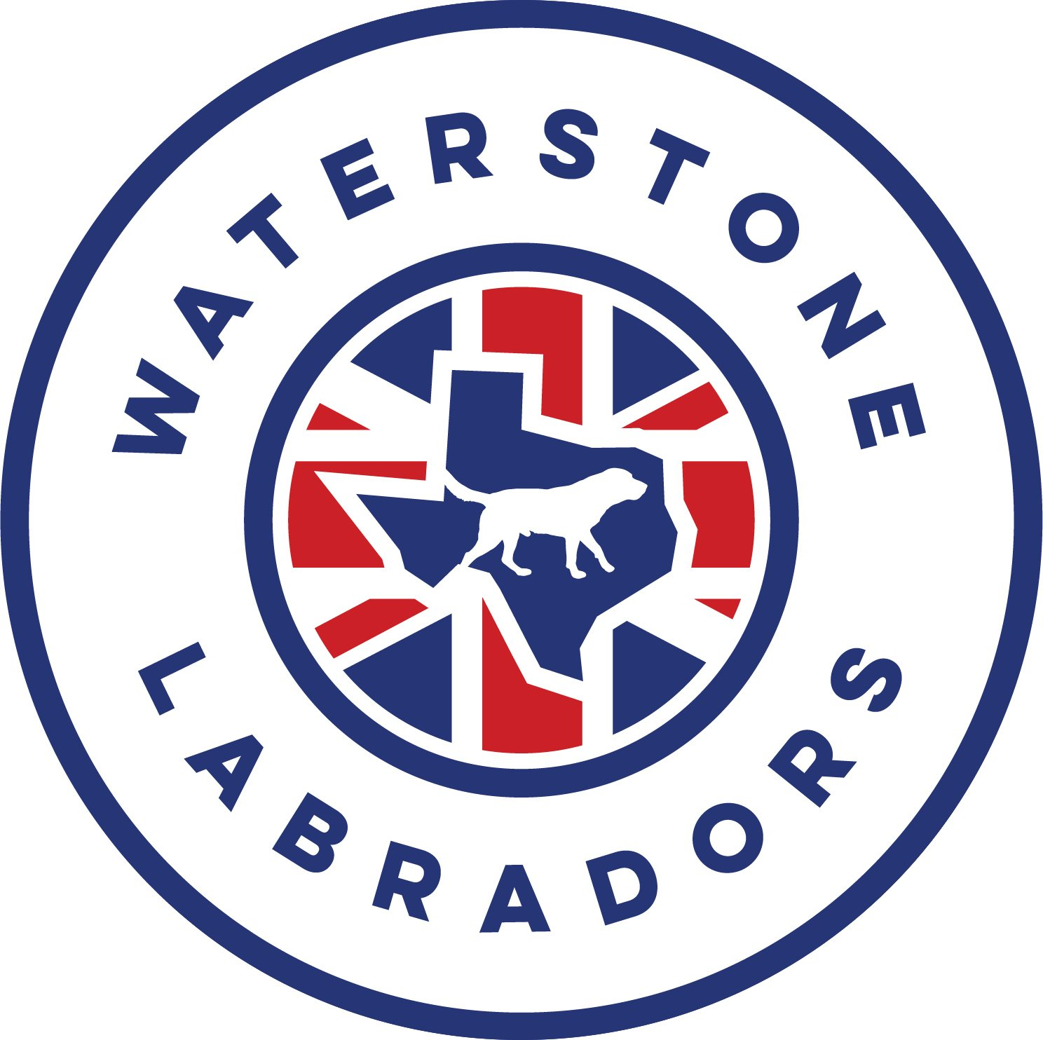 Waterstone Labradors | British Labradors | Irish Labradors