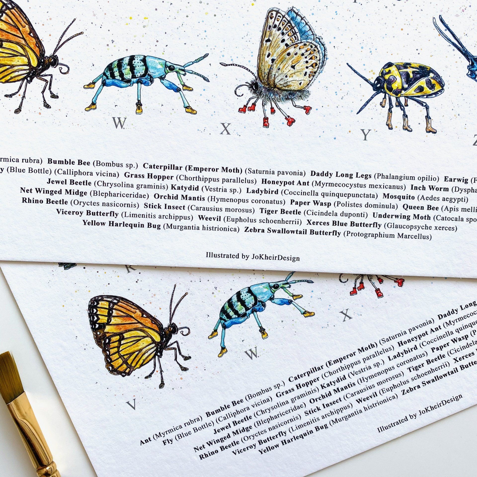 Insect poster for children