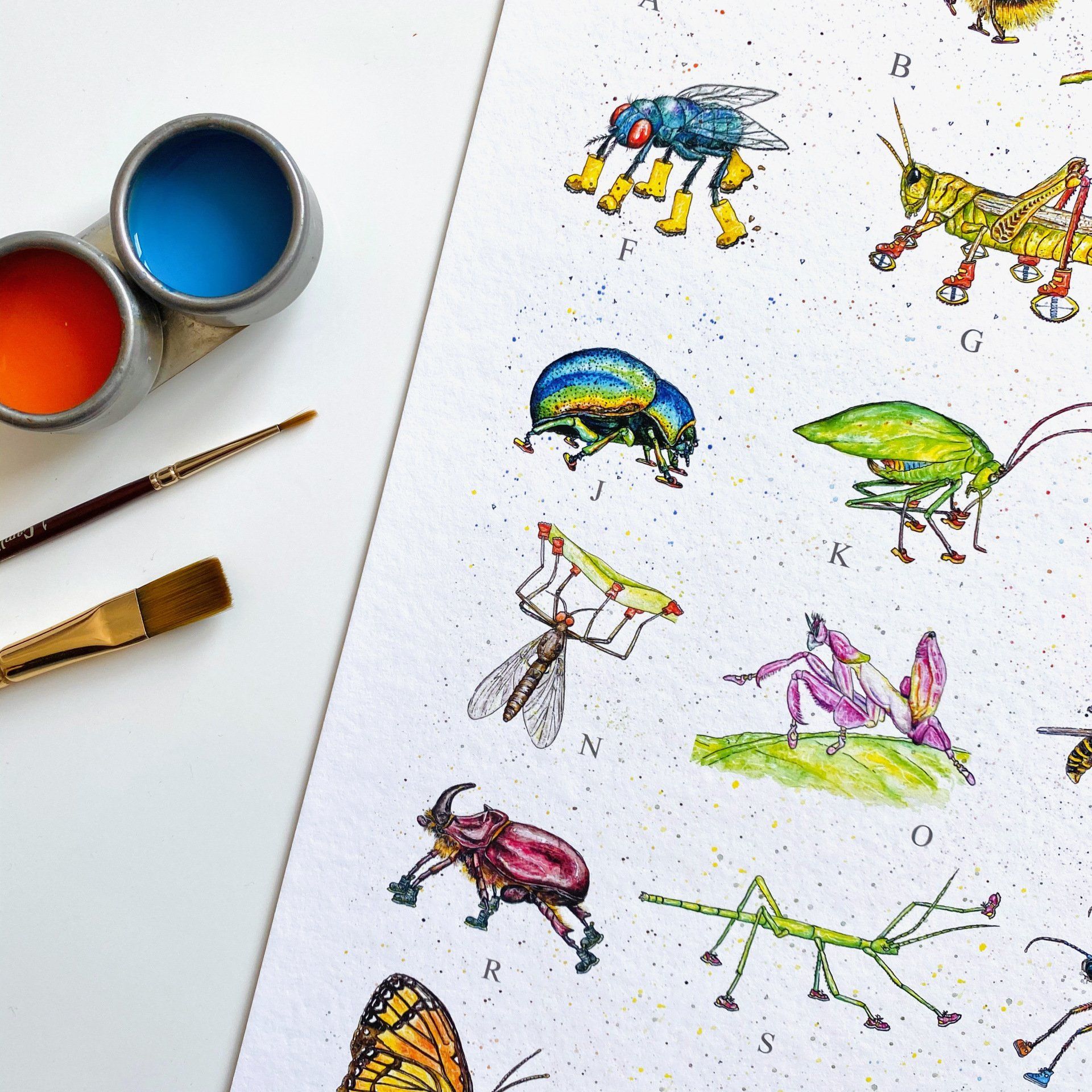 learn about insects