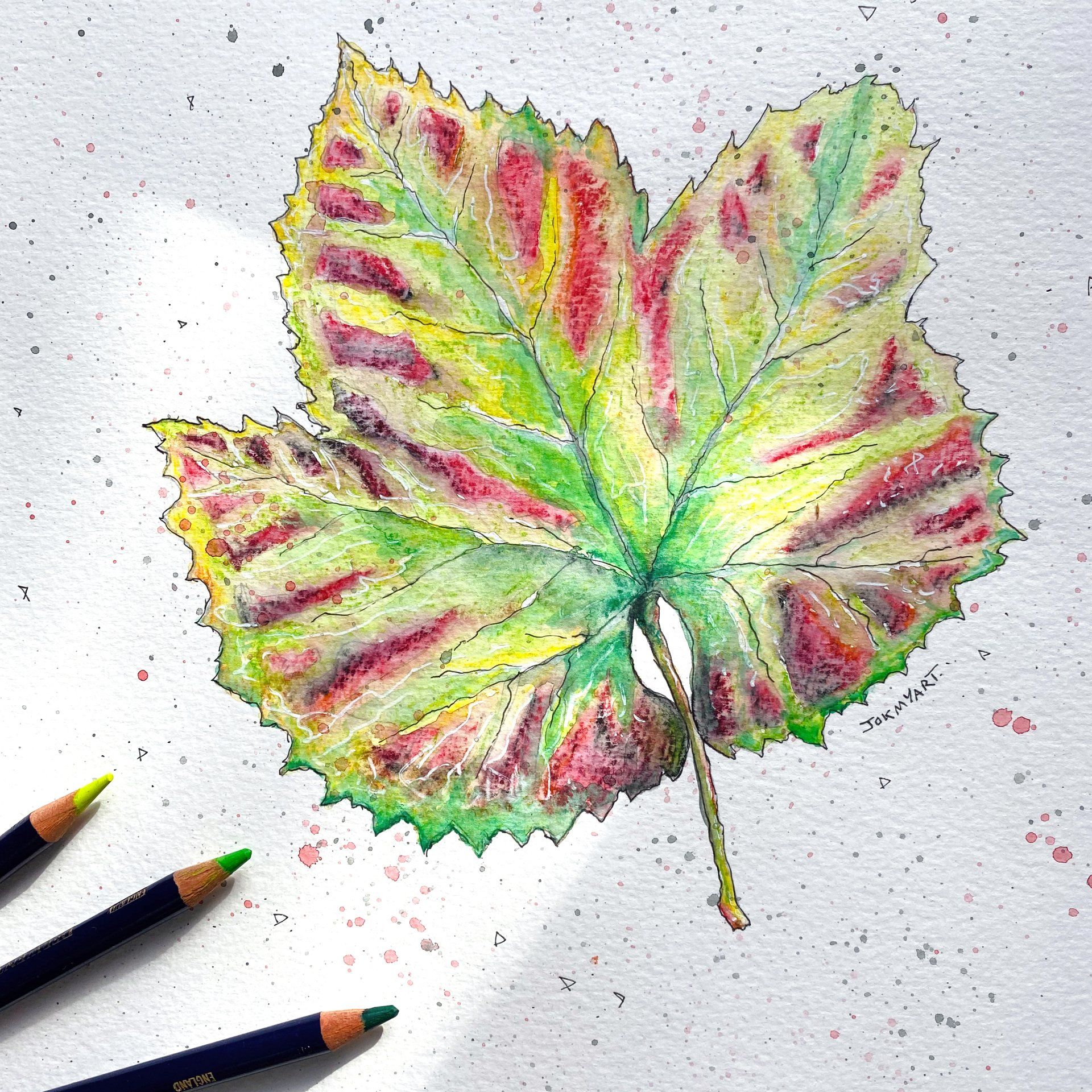 Nature Art and illustration