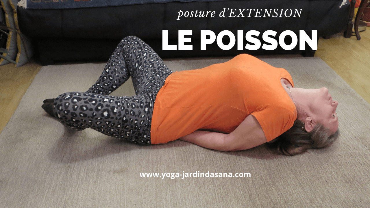 LES POSTURES D'EXTENSION