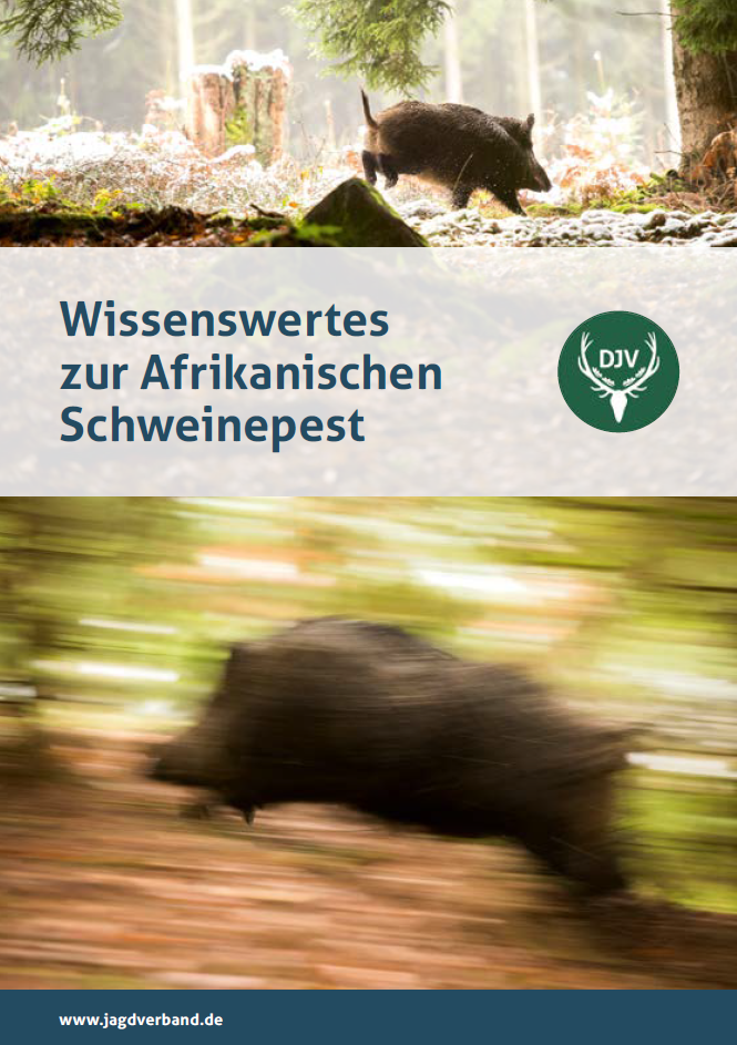 Abbildung Haus Rengert