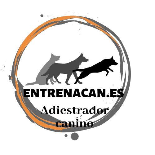 adiestrador canino profesional