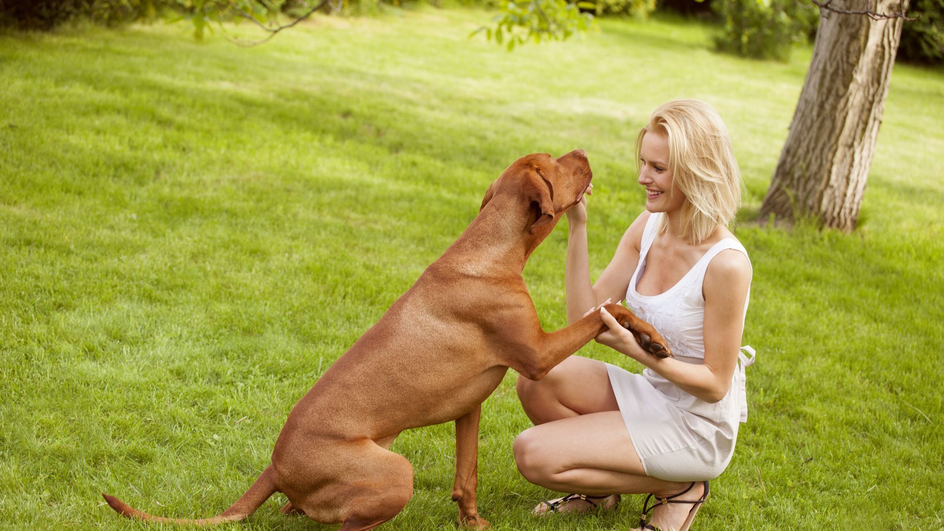 sfhdghbthdherhhhsdhgbh