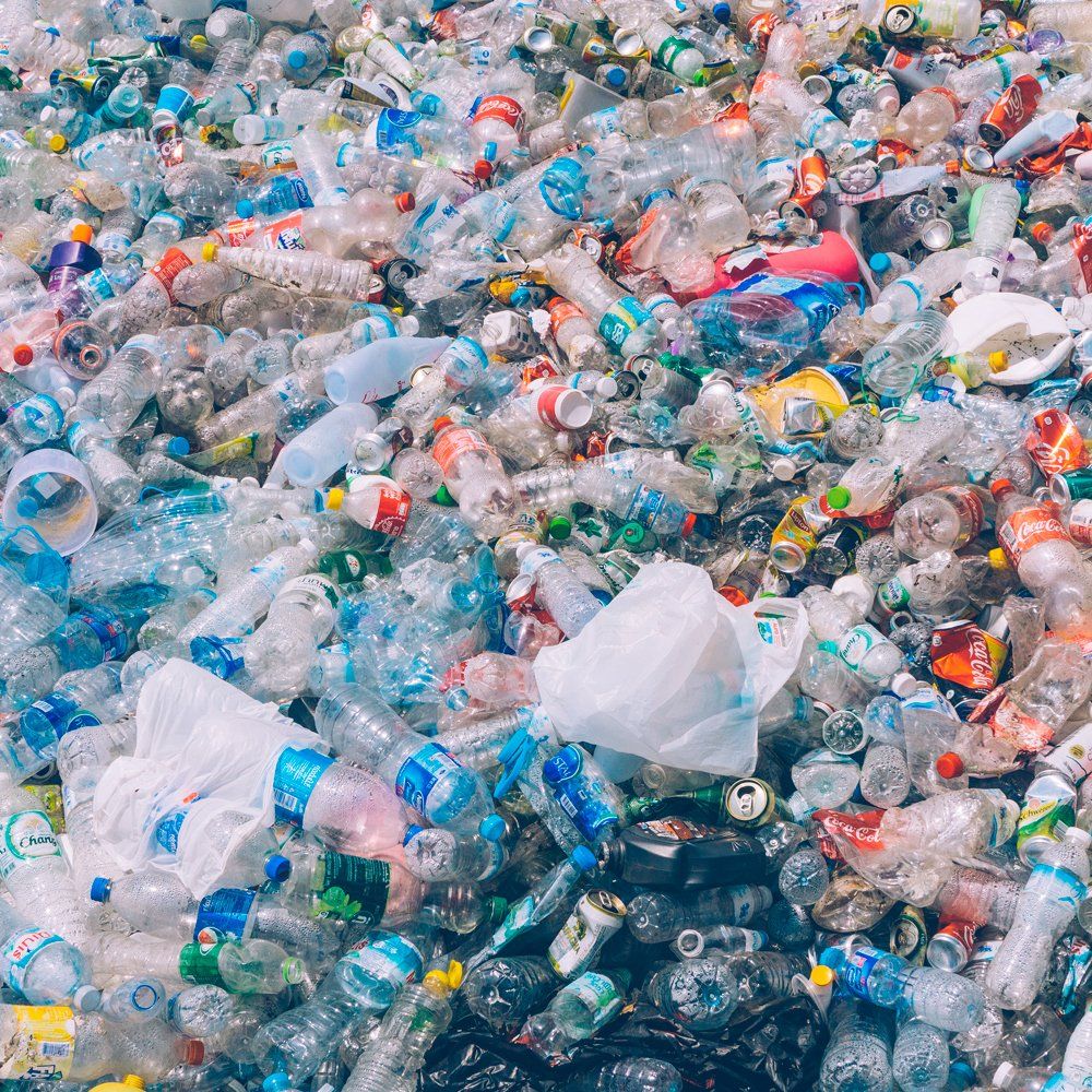 © vladimirzuev – stock.adobe.com