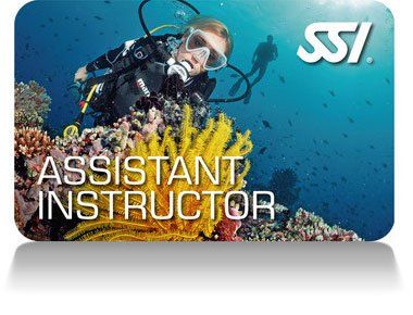PADI Divemaster kurs in Düsseldorf
