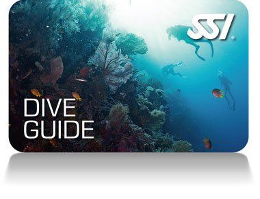 PADI Divemaster kurs in Düsseldorf