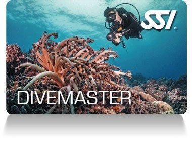 PADI Divemaster kurs in Düsseldorf