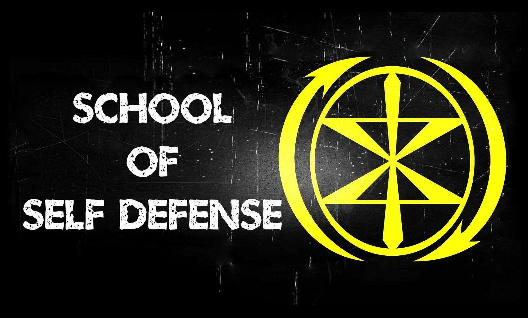 Self Defense school in Central Indiana, The School of Self Defense