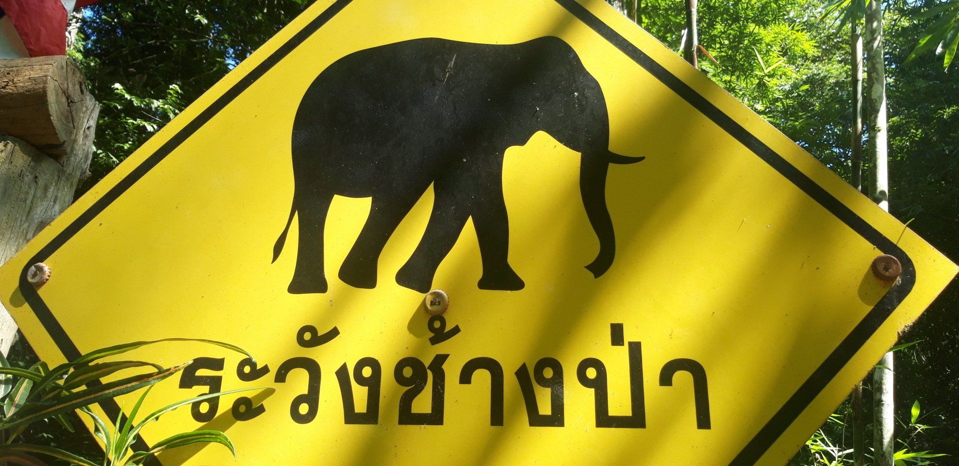 Reisen & Speisen in Thailand