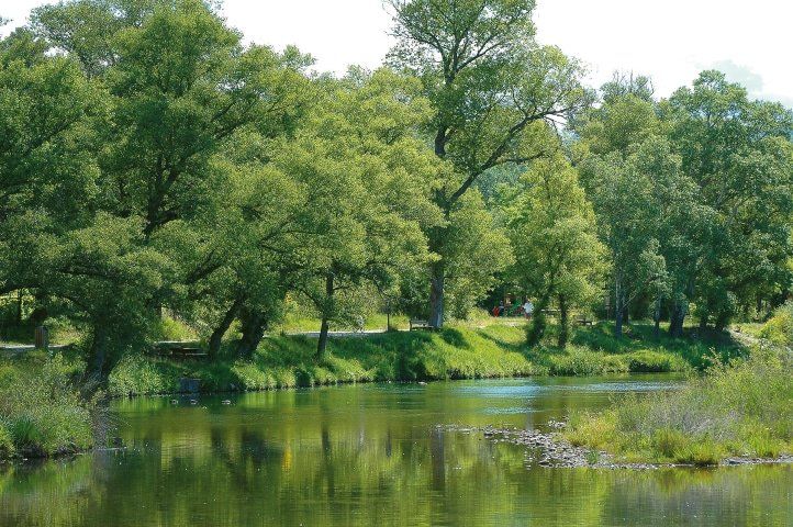 Les berges du Verdon à Gréoux les bains Les meilleurs activités à Gréoux les bains. Les thermes, Casino, Ecociné, Chapelle notre dame des oeufs, chateau des templiers, Santons Truffier Douzon, Randonnées pedestres