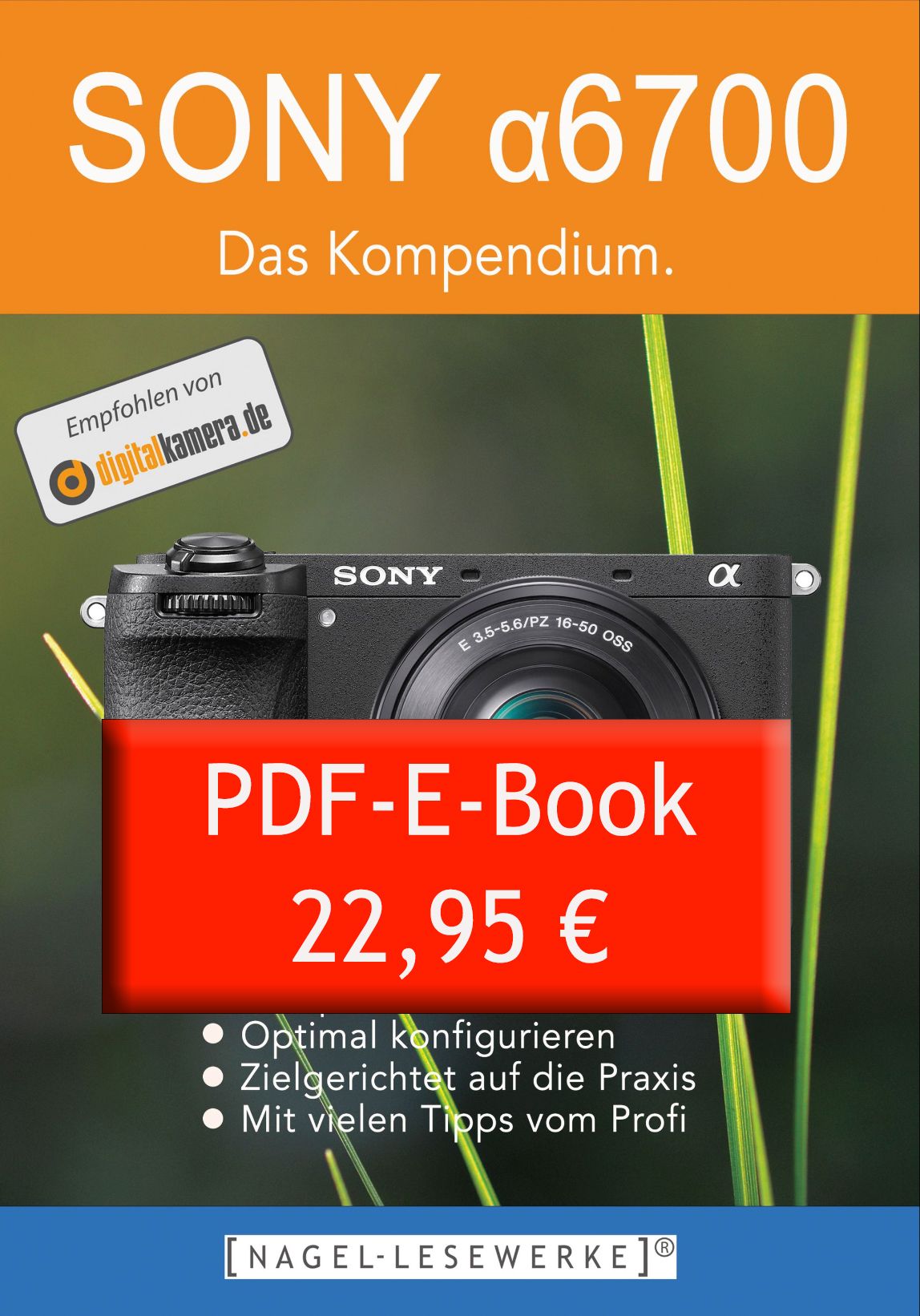 BUCHTITEL
