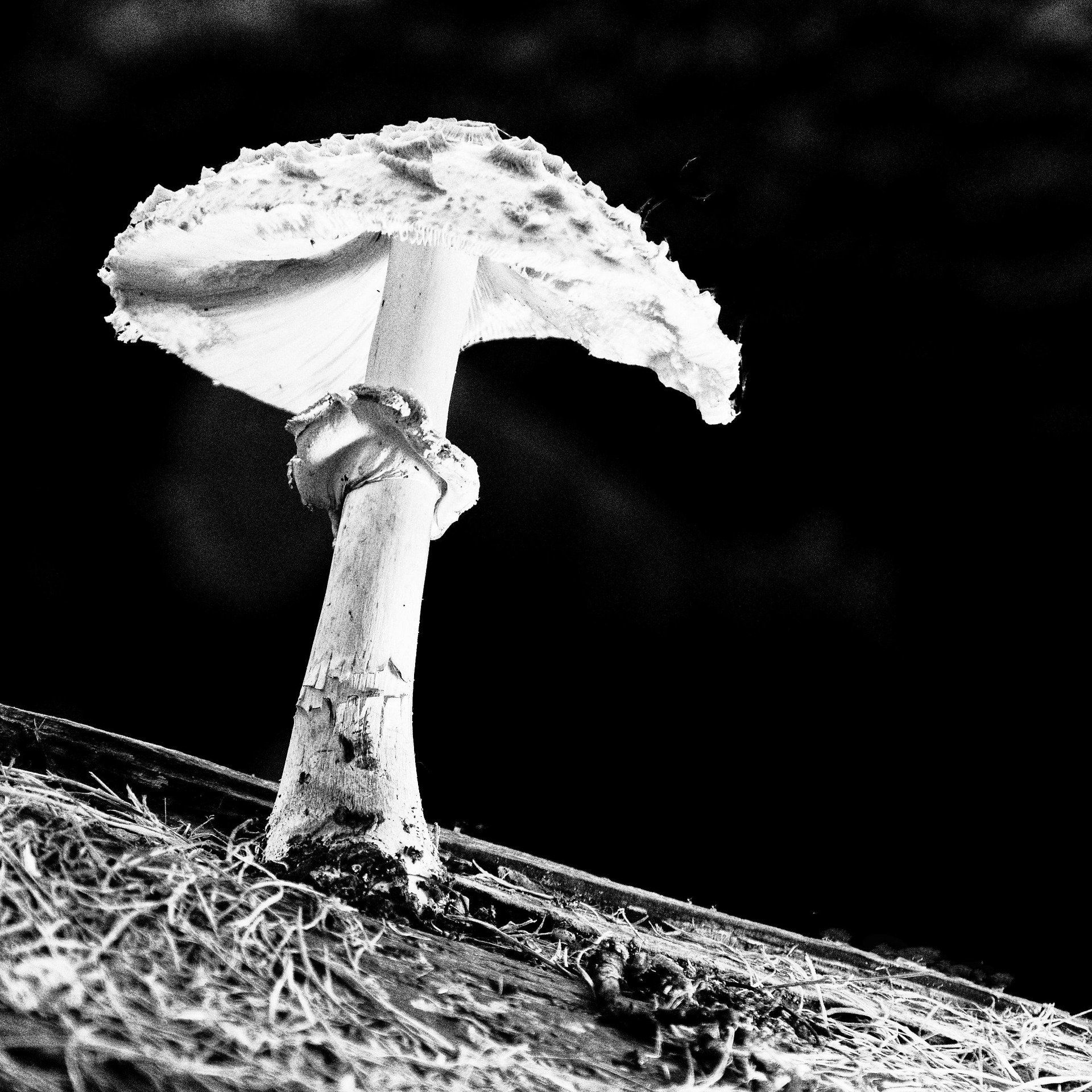 Kreative Blitzfotografie