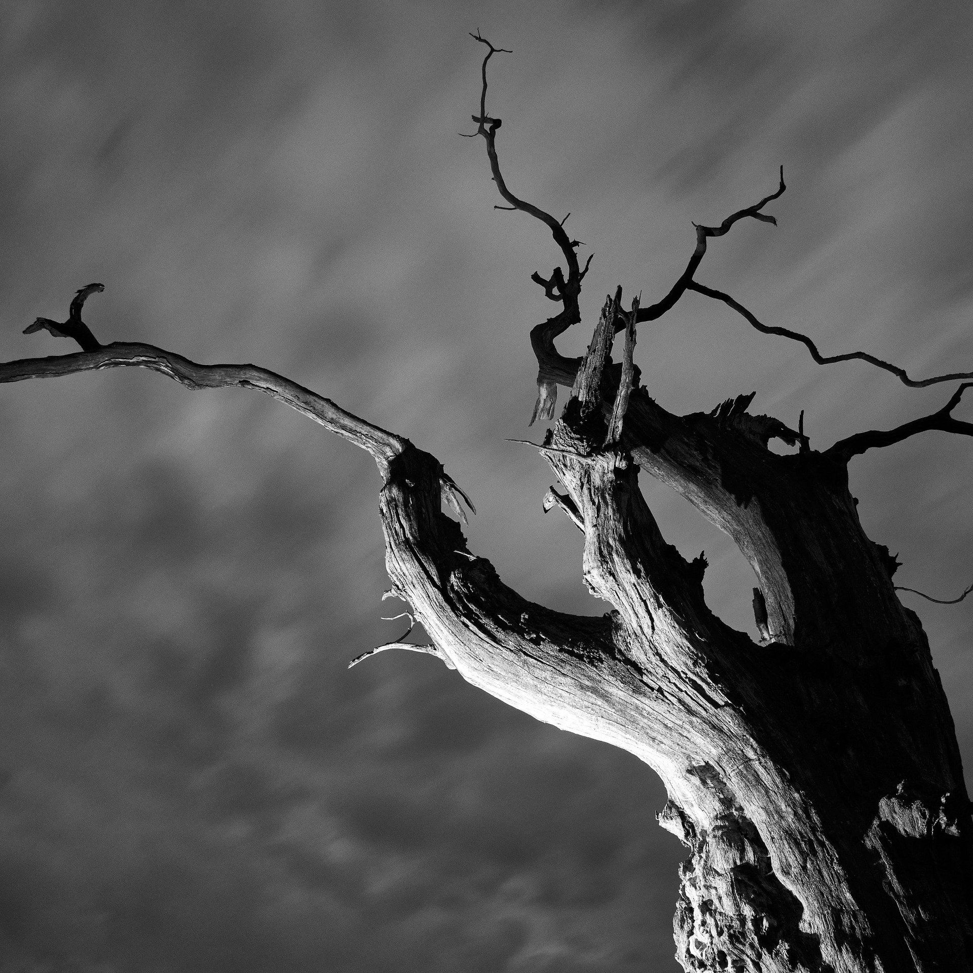 Kreative Blitzfotografie