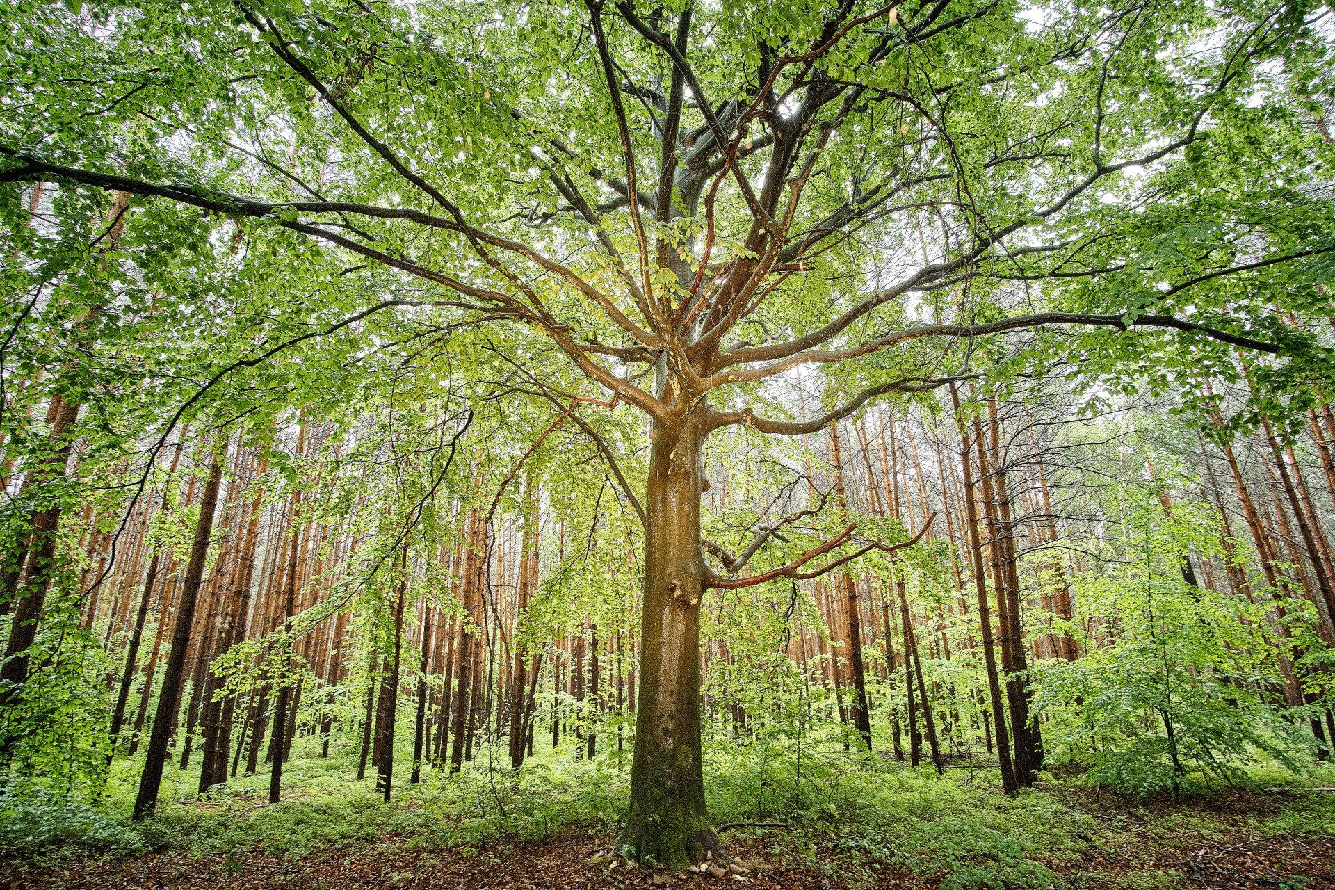 Kreative Blitzfotografie