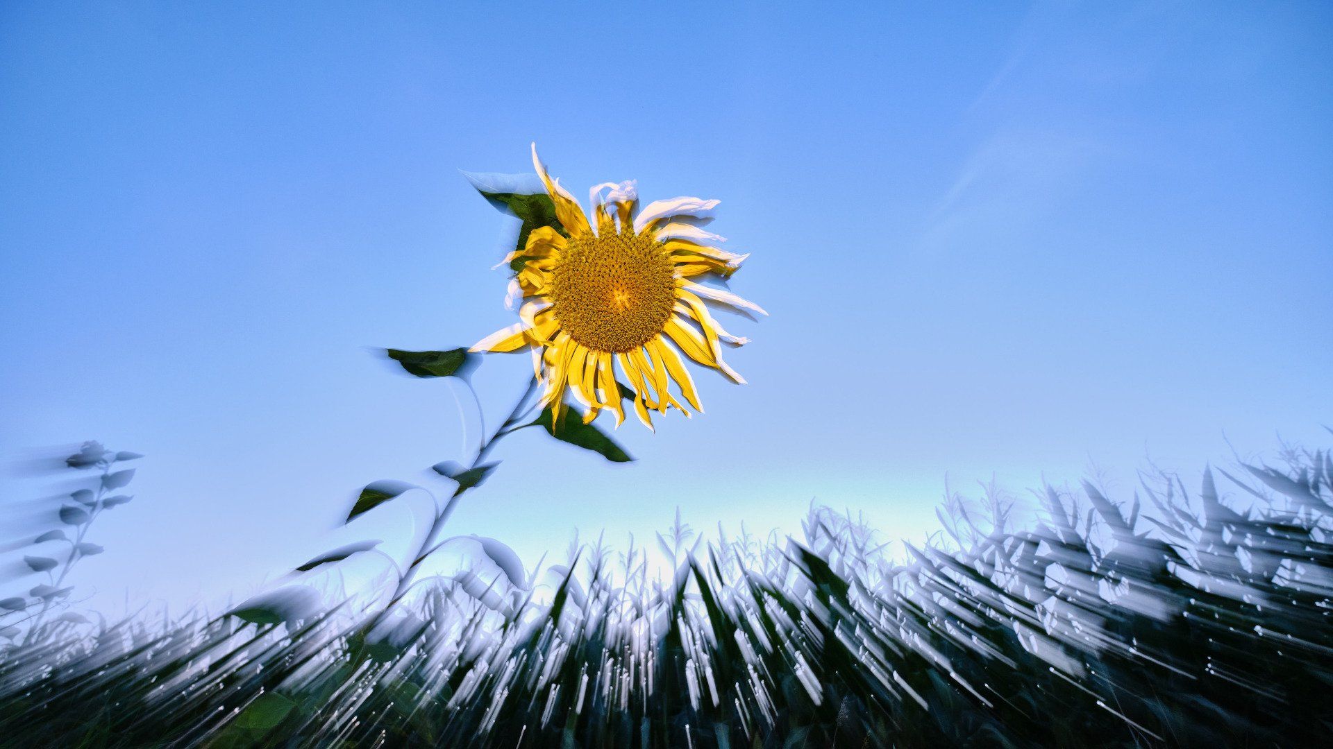 Kreative Blitzfotografie