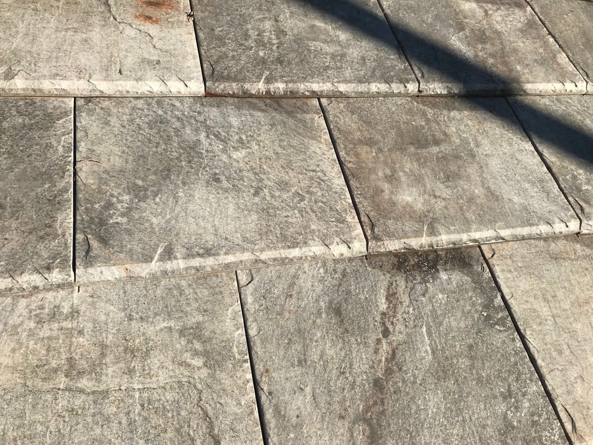 fotografija austin grey