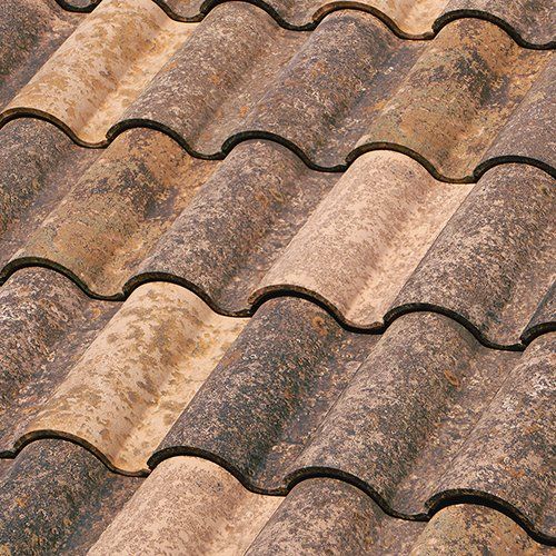 foto tb10 mediterranian