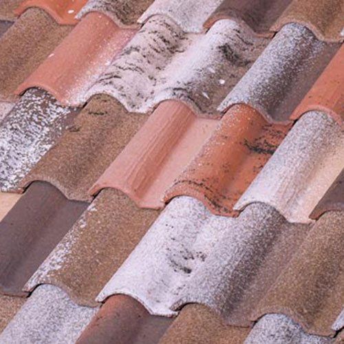 photo tb12 mediterranean