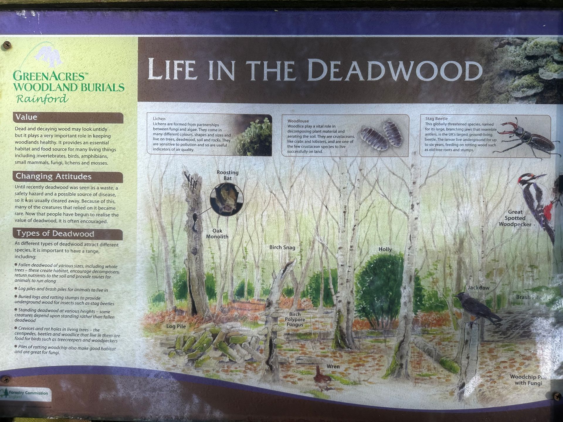 Burials at GreenAcres Living Memorial Park Rainford St Helens