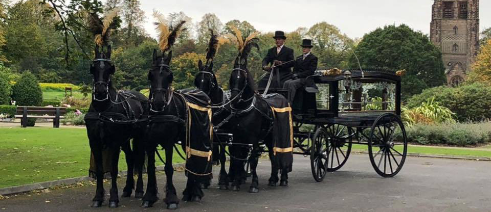 Elegant Carriages Horse drawn hearse