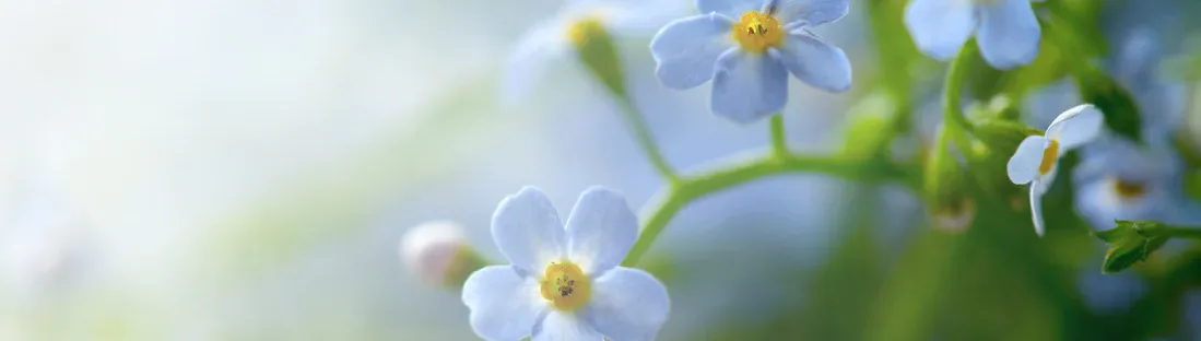 Graham J Clegg Funeral Service