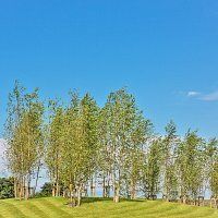 West Lancashire Crematorium Gardens