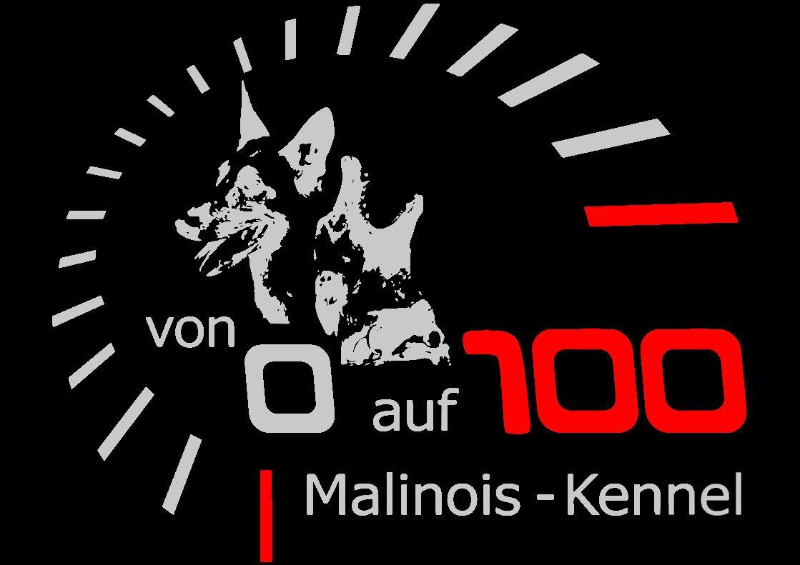 Malinois von Null auf Hundert Malinois von Null auf Hundert