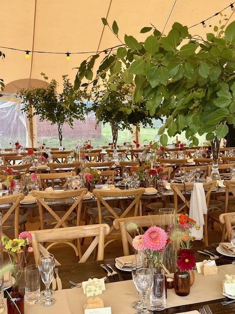 Sustainable Supplier