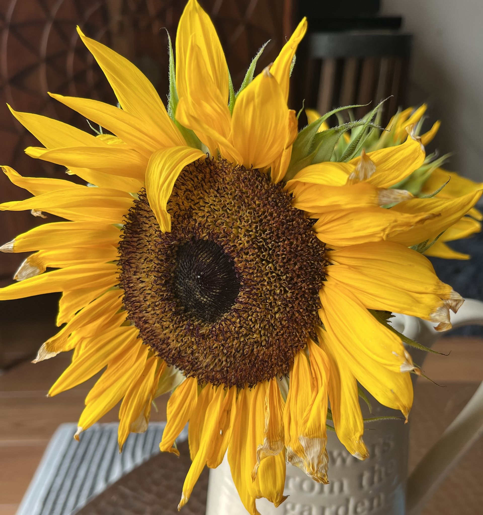 Sunflower Ceremonies - Bedfordshire Celebrant