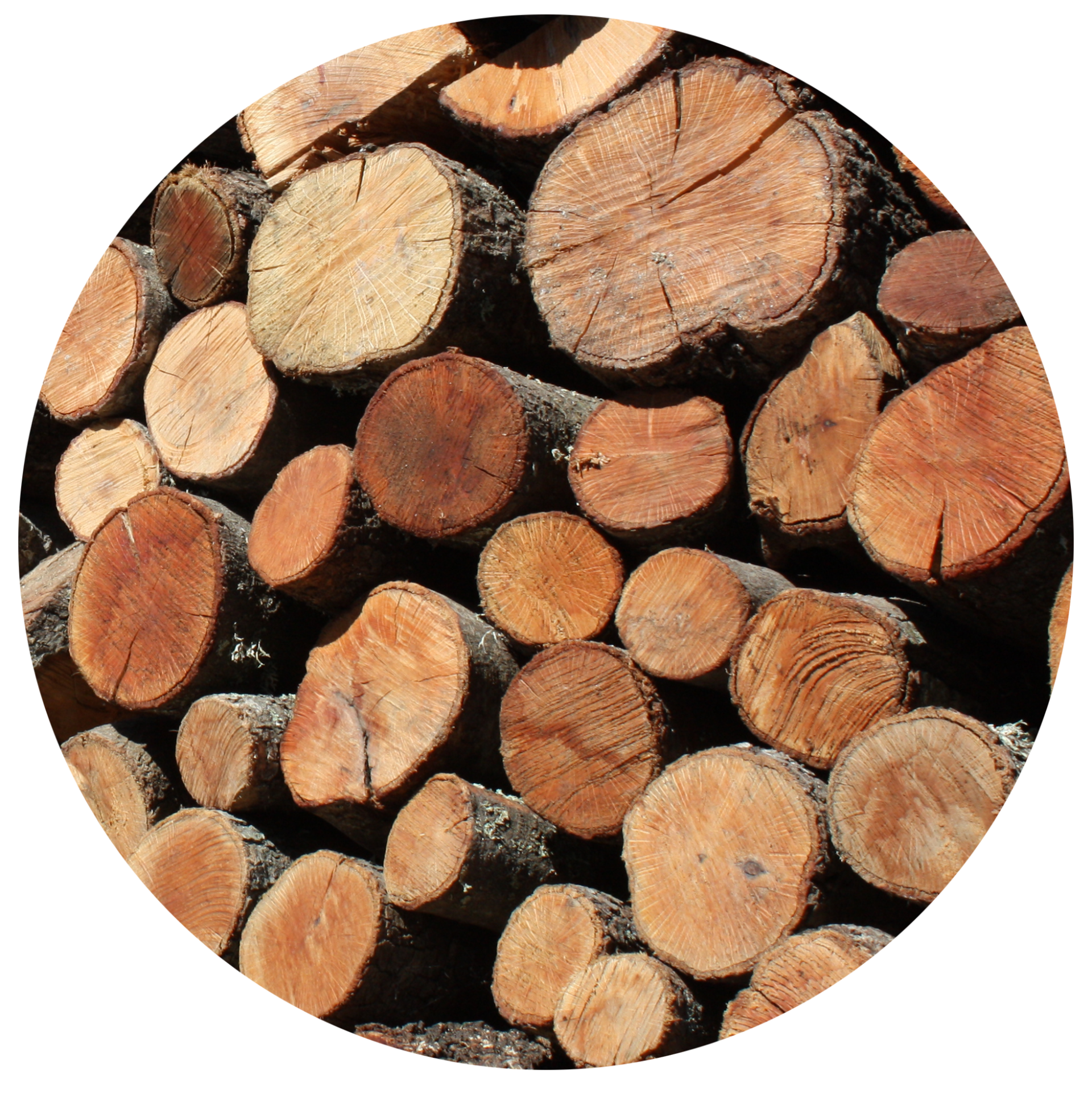 compra venta de biomasa