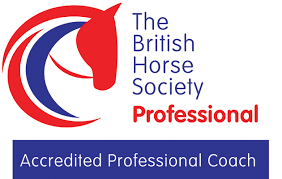 Partners Logo
